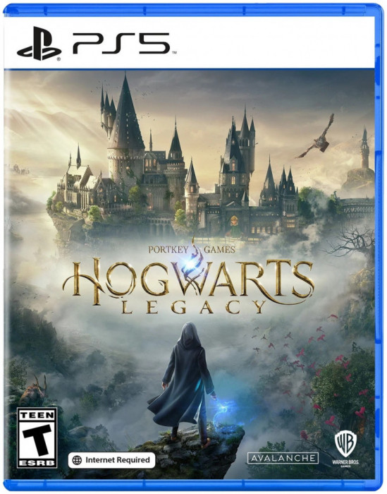 Игра Hogwarts Legacy для PlayStation 5 | Фото 5 из 5