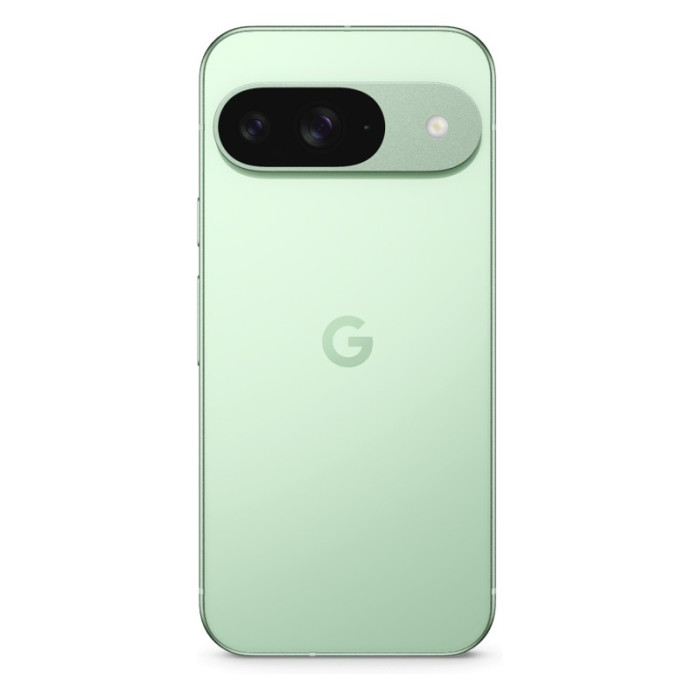 Смартфон Google Pixel 9 12/128GB Зеленый (Wintergreen)