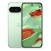 Смартфон Google Pixel 9 12/256GB Зеленый (Wintergreen)