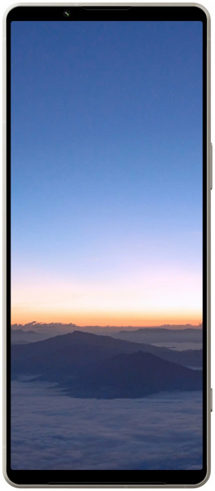 Смартфон Sony Xperia 1 V XQ-DQ72 Dual 12/256GB Серебро (Platinum Silver) CN