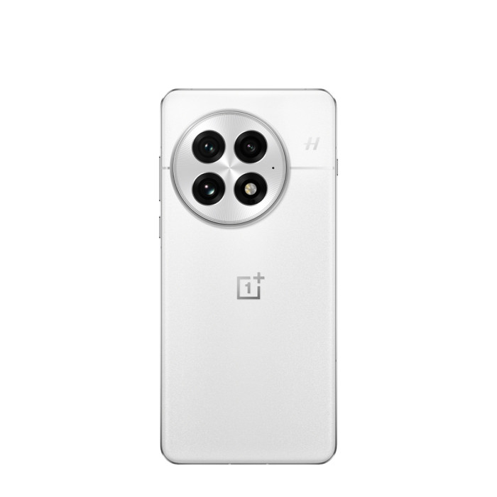 Смартфон OnePlus 13 24/1TB Белый (Arctic Dawn) CN